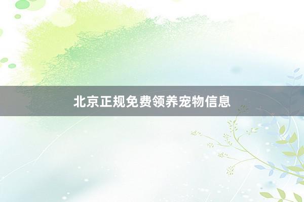 北京正规免费领养宠物信息