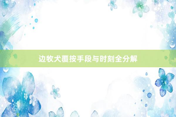 边牧犬覆按手段与时刻全分解